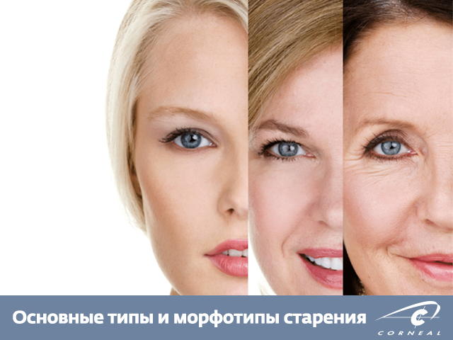 Основные типы и морфотипы старения