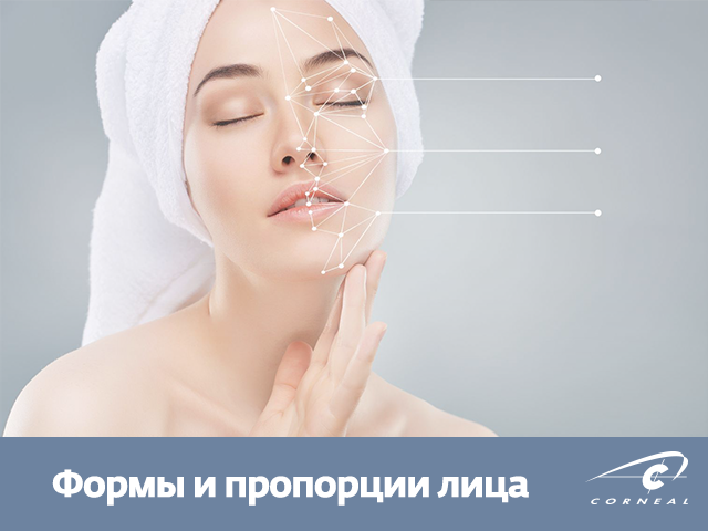 Формы и пропорции лица