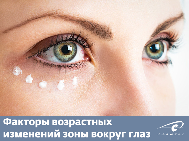 Факторы возрастных изменений зоны вокруг глаз