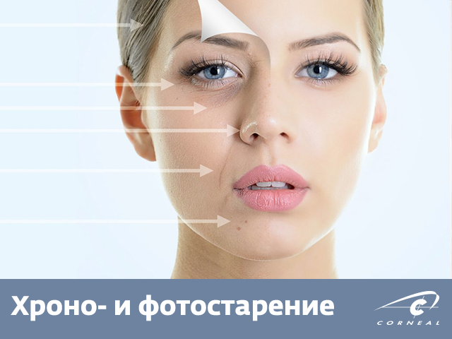 Хроно- и фотостарение