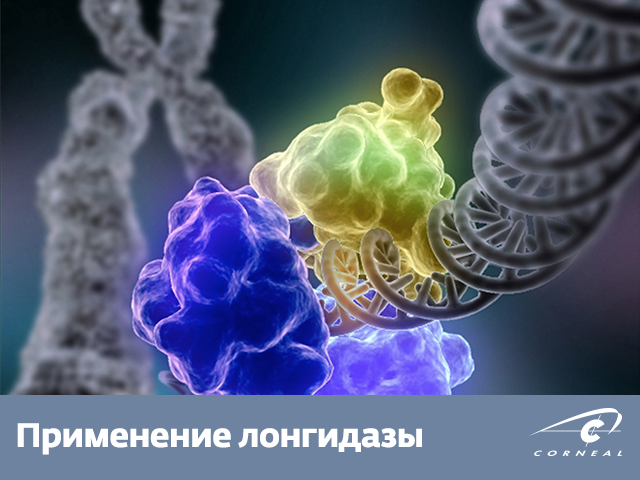 Применение лонгидазы