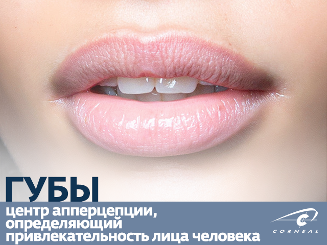 Губы